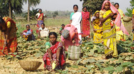 S.R. Public School Shiksha Samiti